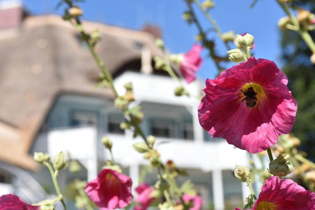 Romantik Hotel Fischerwiege Ahrenshoop Exteriör bild
